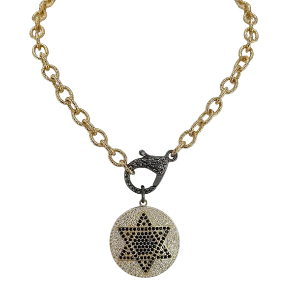 Talia Star of David
Clasp Necklace
