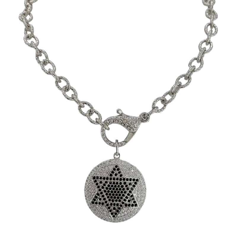 Talia Star of David
Clasp Necklace