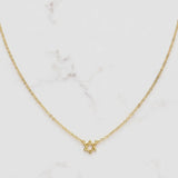Teeny Tiny Star of David Necklace