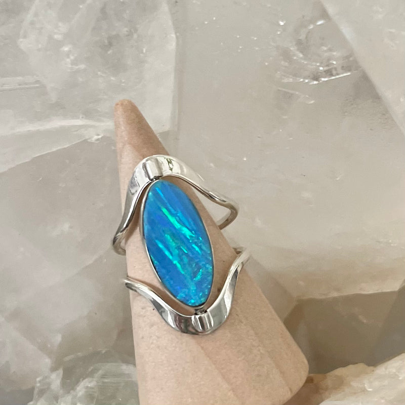 Black & Blue Reversible Spinner Ring