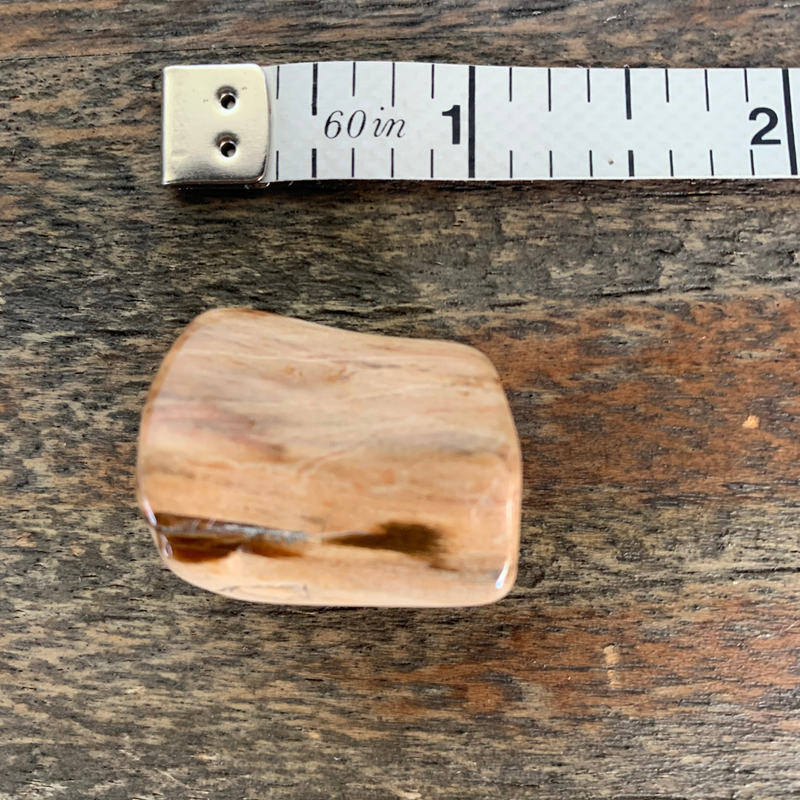 Petrified Wood