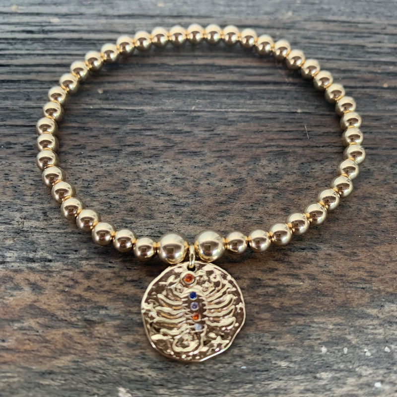 Leo Zodiac Coin Charm