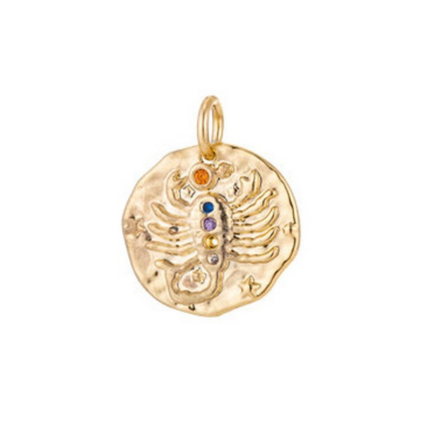 Scorpio Zodiac Coin Charm